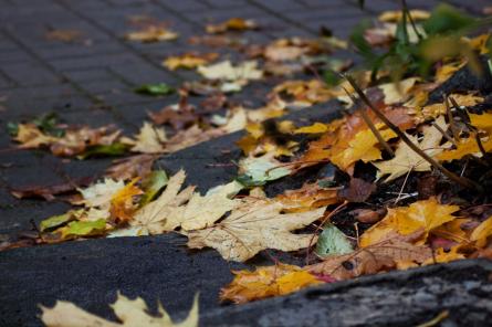 Piektdienas rītā gaisa temperatūra Kurzemē sasniedz 12 grādus