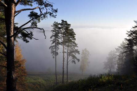 Svētdien spīdēs saule, Kurzemē gaidāma migla