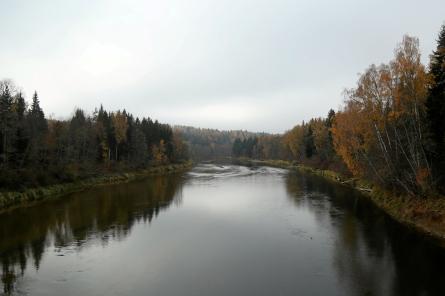 Lems par Gaujas plostnieku amata prasmju iekļaušanu UNESCO mantojumā