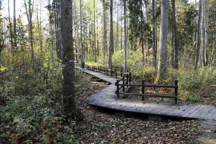 Ķemeri: Nē, izklaides medībām nacionālajos parkos