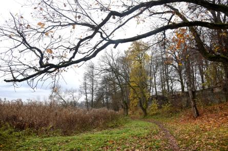 Aizvadītais rudens bijis sausākais pēdējos četros gados