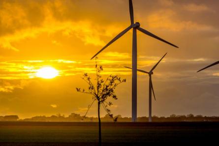 Tiesa vērtēs vēja parka attīstītāja Dobele wind strīdu ar pašvaldību