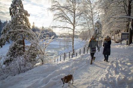 Sestdien Latvijā saglabāsies sals, bet sniegs gaidāms tikai jūras piekrastē