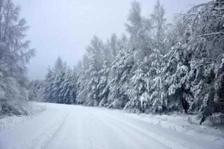 Slidenu ceļu dēļ apgrūtināta braukšana Liepājas, Saldus un Kuldīgas apkārtnē