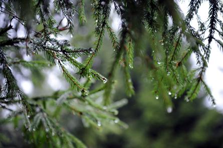 Naktī uz piektdienu gaisa temperatūra Latvijā pakāpsies līdz +7 grādiem