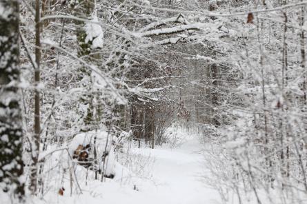 Decembris Latvijā bijis divus grādus aukstāks par normu