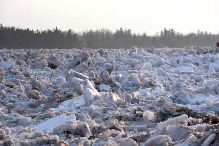 Pārvaldes vadītājs: Pļaviņās Daugava ir pilna ar ledu, taču applūšana nedraud