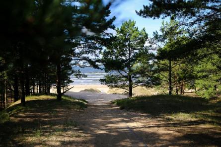 Pārņems nelikumīgi izcirsto dabas parka Piejūra zemes gabalu