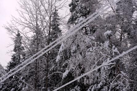 Ziema atgriežas? Sinoptiķi paredz temperatūras noslīdēšanu pat līdz -20 grādiem