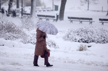 Rīgu pārklājusi biezākā sniega sega kopš decembra