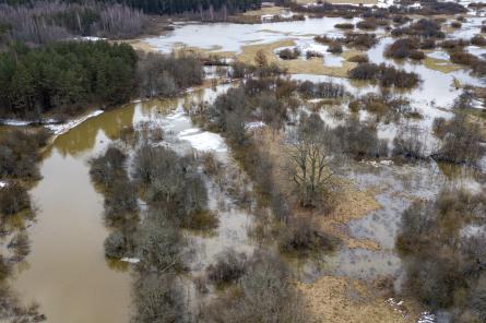 Otrdien Latvijā sola siltāko laiku kopš janvāra sākuma, būs mitrs un vējains