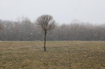 Otrdiena būs mākoņaina, vietām līs