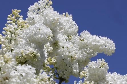 Šodien izbaudījām augstāko temperatūru kopš oktobra sākuma