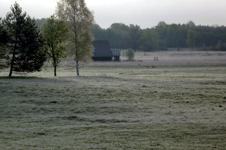 Eksperts informē, kam gaidāmā salna nodarīs lielākos postījumus