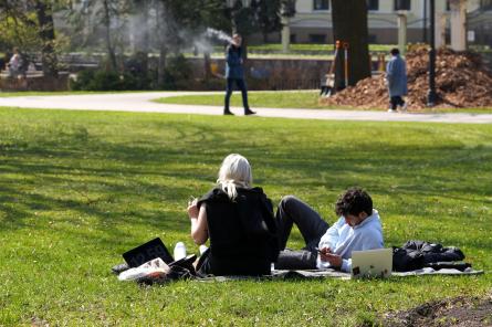 Piektdien spīdēs saule, pēcpusdienā un vakarā gaidāms brāzmains vējš