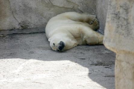 Prognozē jaunus globālās gaisa temperatūras rekordus