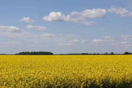 Gaisa temperatūra otrdien sasniegs +25 grādus