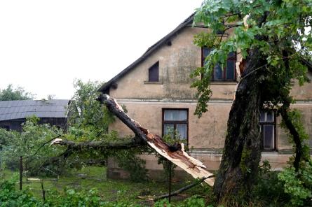 Konkrēts atbalsts negaisā cietušajiem - vai valdība šodien lems?