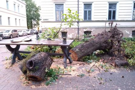 Rudens skarbums: Arī svētdiena būs mākoņaina, vētraina un lietaina