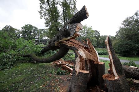 Meteoroloģiskais rudens šogad sācies piecas nedēļas vēlāk nekā ierasts