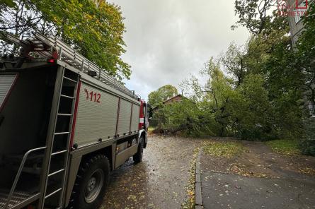 No autoceļiem ir novākti 1219 koki, bet vētras bojājumu novēršana vēl turpinās