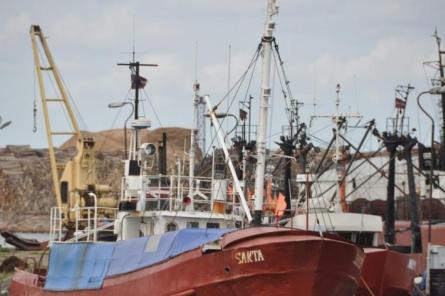 Latvija iebilst EK priekšlikumam būtiski ierobežot reņģu un brētliņu zveju jūrā