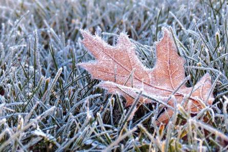 Naktī gaisa temperatūra noslīdēs zem nulles