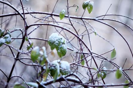 Nākamnedēļ gaidāmas stipras vēja brāzmas un temperatūras pazemināšanās