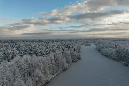 Latvijas valsts mežos tika sagatavotas cirsmas 140 ha platībā (+VIDEO)