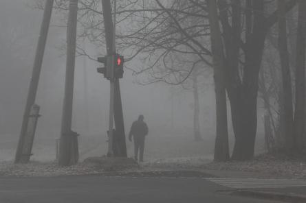 Lielākajā valsts daļā saglabājas migla; apgrūtināti braukšanas apstākļi Pierīgā