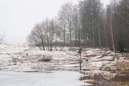 Daugavā lejpus Jēkabpils ūdens līmenis pazeminās