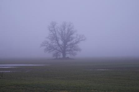 Otrdien Dienvidkurzemes novadā mēreni līs un snigs