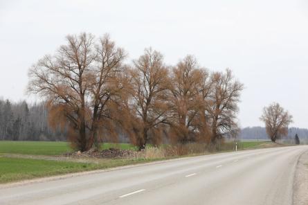 Aicina ieplānot papildu laiku ceļā, braucot uz Kurzemes pusi