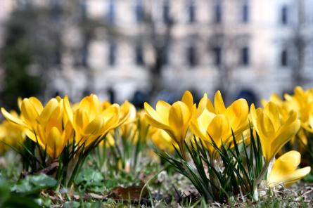 Otrajās Lieldienās gaisa temperatūra Latvijā var paaugstināties līdz 22 grādiem