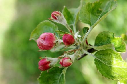 Otrdien Latvijā spoži spīdēs saule, bet būs vēss