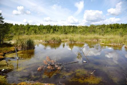 Ceturtdien saule mīsies ar mākoņiem un pūtīs spirgts vējš