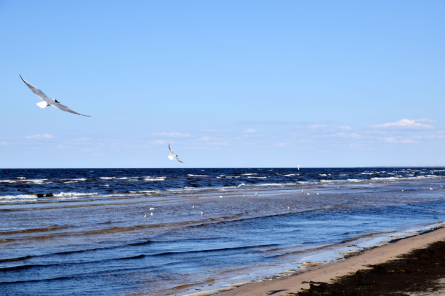 Zemākā ūdens temperatūra saglabājas Rīgas līča Kurzemes piekrastē