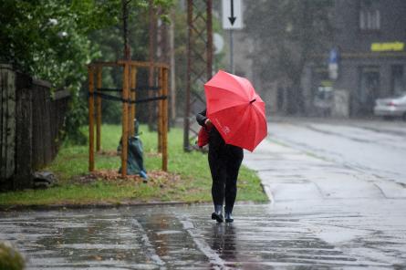 Jūlijs Latvijā bijis trešais mitrākais novērojumu vēsturē