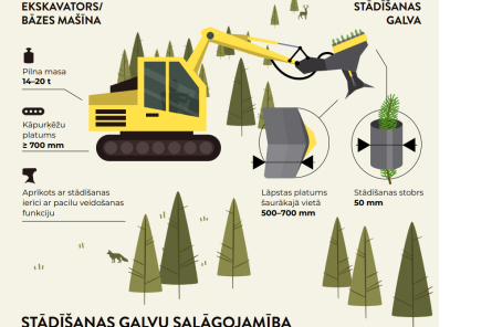 LVM speciālisti māca atjaunot mežus (+VIDEO)