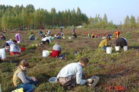 Lauksaimnieki aicina atvieglot darbinieku piesaisti no trešajām valstīm