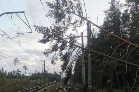 VUGD saņemto izsaukumu skaits vēja radīto seku novēršanai pieaudzis līdz 169