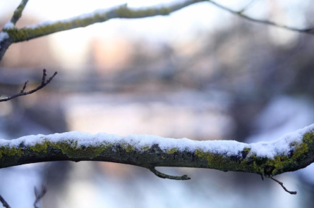 Nedēļas nogalē un jaunās nedēļas sākumā laika apstākļi būtiski nemainīsies