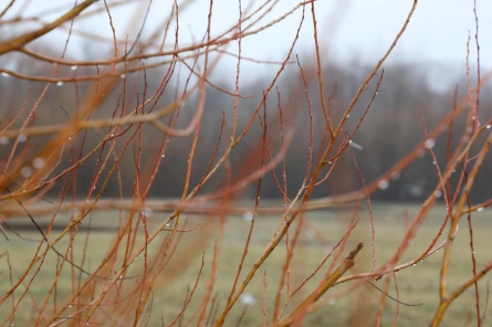 Pirmdien Latvijā uzspīdēs saule