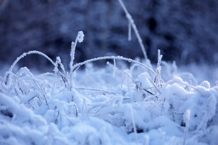 Latvijā sākusies meteoroloģiskā ziema