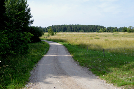 Par 2025.gada dzīvotni izvēlēta mala - pārejas zona starp dažādām ekosistēmām