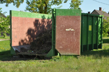 Daugavpilī pa visu pilsētu vāc zaļo masu (+VIDEO)
