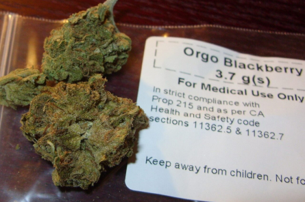 Šodien «‎Progresīvie» runās par medicīniskās marihuānas legalizēšanu (+VIDEO