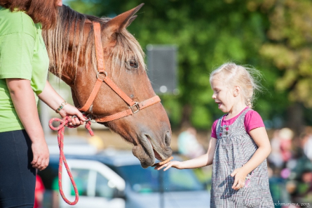 Ar zirgu spēku: Vaivaru Reitterapijas nodaļai 30 gadi (+VIDEO)