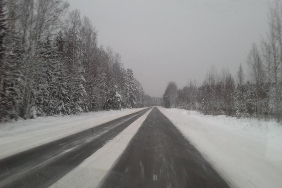 Ziema Latvijā varētu būt silta un mitra