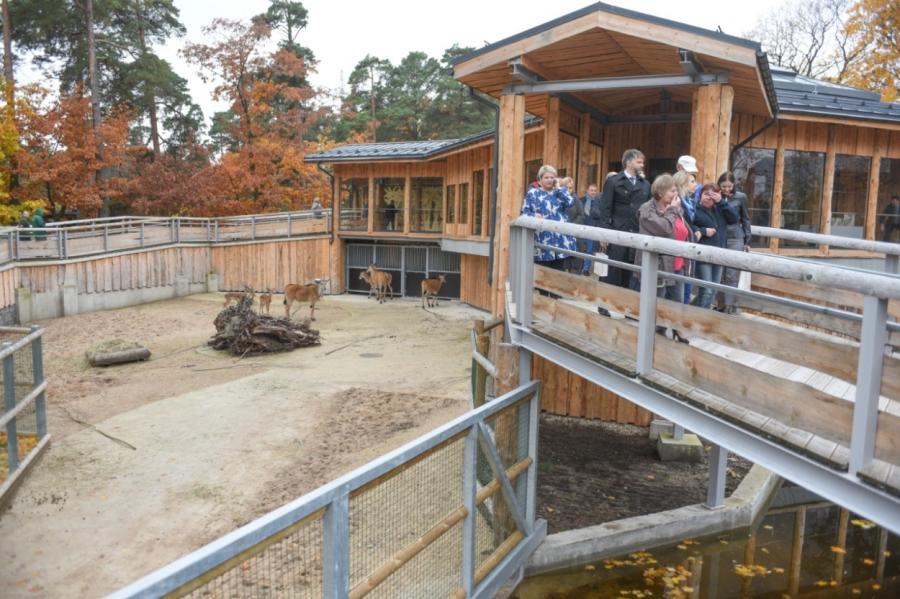 Rīgas zoodārzs atklātaj "Āfrikas savannu" un aicina nesabiedēt dzīvniekus
